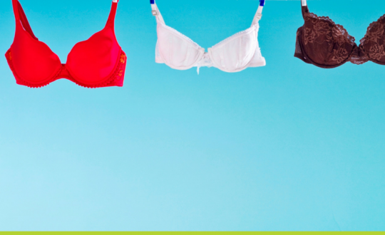 day9 bras.fw