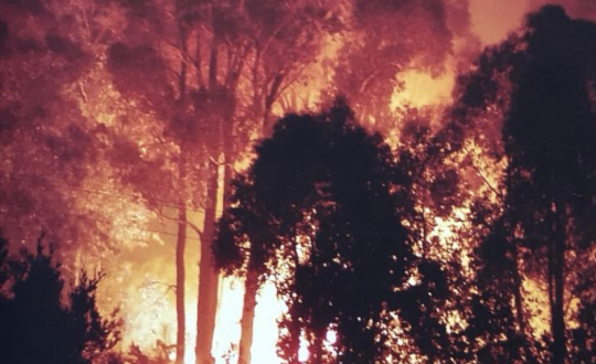 Fires
